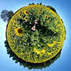 Southern Solar Systems, Inc.