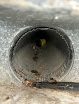 Bright Air Duct Cleaning Pros