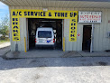 Expert Auto Repair