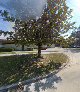 Green Cove Springs Electric