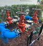 Ushac Of South Florida