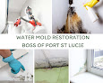 Water Mold Restoration Boss Of Port St Lucie